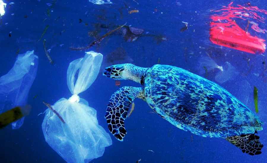 Plastic pollution ocean