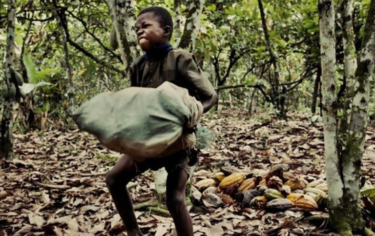 cocoa child labour case study