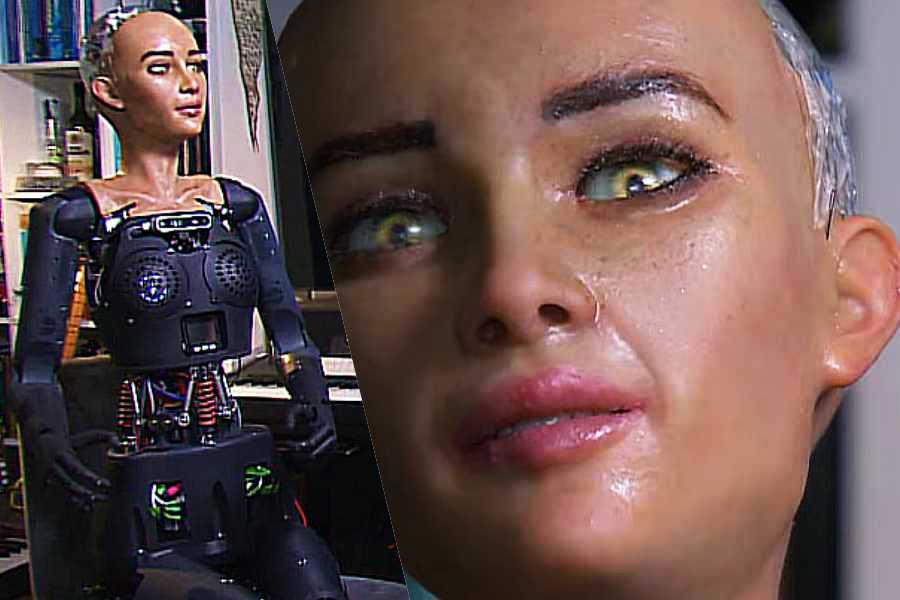 Robot Sophia: 'Not a thing' could stop a robot takeover