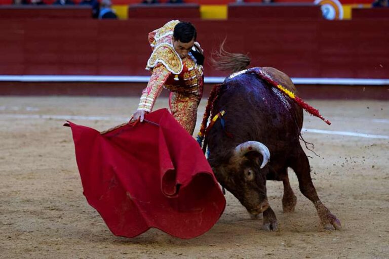 Spain To Scrap Its National Bullfighting Prize Over “animal Torture”